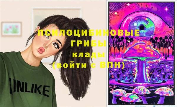 кокс Баксан