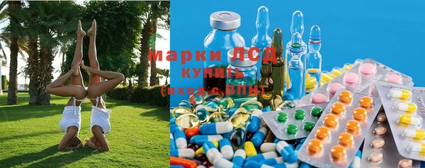 ГАЛЛЮЦИНОГЕННЫЕ ГРИБЫ Балахна