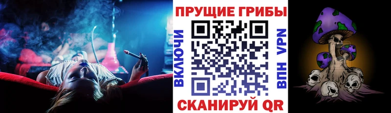 Псилоцибиновые грибы прущие грибы  Безенчук 